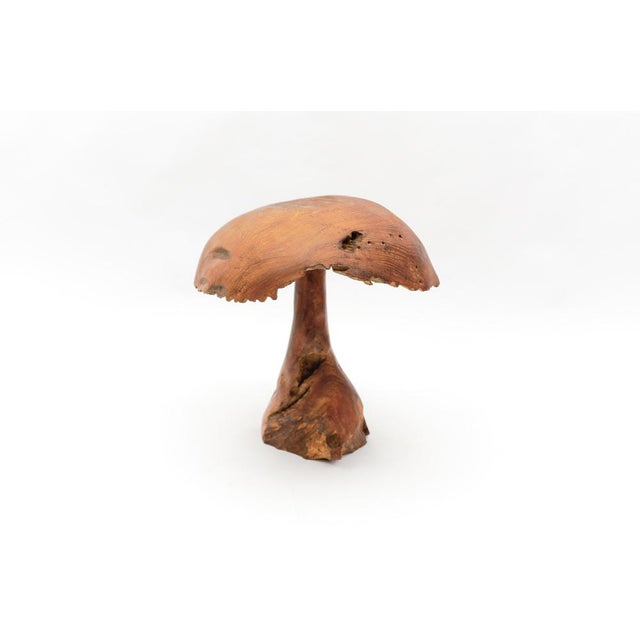 Large Mid-Century Modern Mushroom, 1960s For Sale - Image 6 of 16