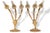 Empire Giltwood Wall Lights, 1800s, Set of 2 For Sale - Image 4 of 11