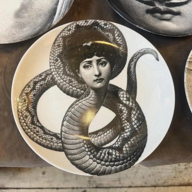 Four 1970s 26 Cm Porcelain Wall Plates Temi E Variazioni by Piero Fornasetti For Sale - Image 6 of 13