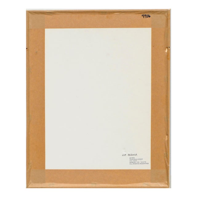 Begonia - Botanical Study by Deborah Eddy For Sale - Image 10 of 10