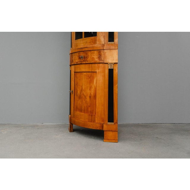 19th Century Biedermeier Corner Display Cabinet For Sale - Image 18 of 18