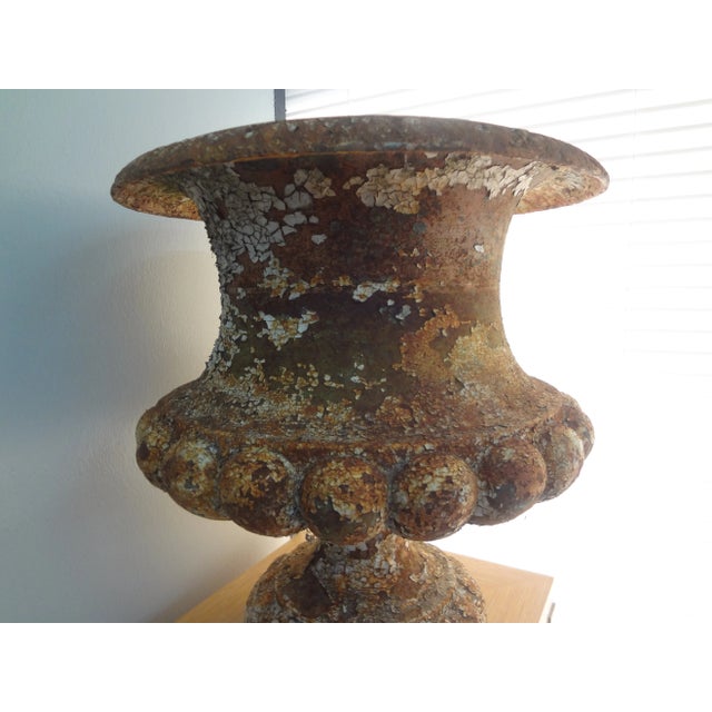 Pair of 19th Century French Iron Garden Urns For Sale - Image 10 of 13
