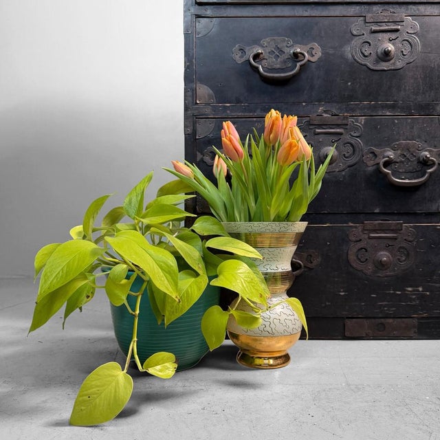 Large Japanese Antique Tansu Chest of Drawers, 1900s For Sale - Image 6 of 18