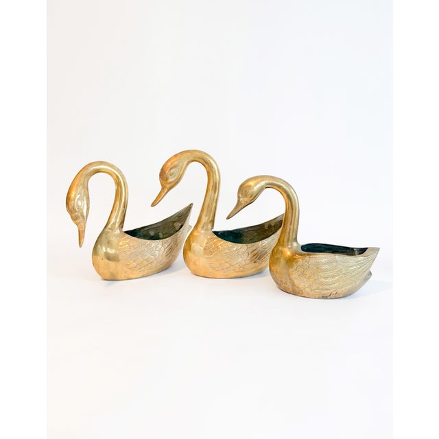 Bring vintage elegance to your home with this set of three brass swan planters. Each showcases classic Hollywood Regency...