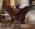 Early 19th Century Early 19th Century French Carved Oak Imperial Eagle Sculpture For Sale - Image 5 of 12