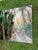 Old Florida; Highlands Hammock State Park, Sebring Florida Photo Print. Cypress Swamp Boardwalk, Four by Three Feet in Plastic For Sale - Image 10 of 12