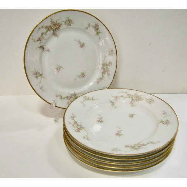 Early 20th Century Antique Limoges Floral Dinner/Luncheon Plates- Set of 6 For Sale - Image 5 of 5