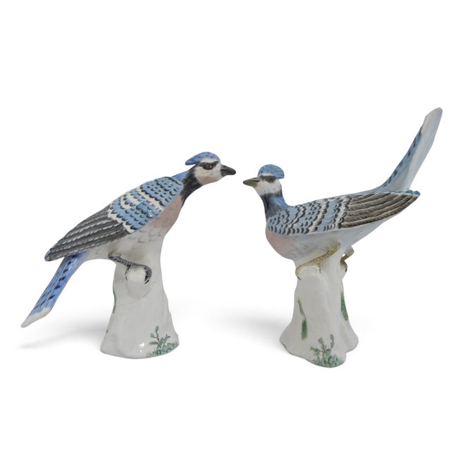 English Staffordshire Hand Painted Porcelain Blue Jay Figurine Pair With Box For Sale - Image 3 of 18