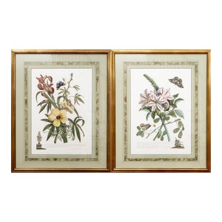 Vintage Watercolor Framed Botanical Prints—A Pair For Sale