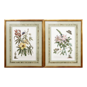 Vintage Watercolor Framed Botanical Prints—A Pair
