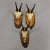 Rustic European Vintage Collection of Six Chamois Trophies on Wooden Plaques, Germany Ca. 1960s For Sale - Image 3 of 7
