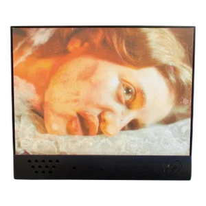 Tony Ousler Talking PhotoGraph Circa 1996
