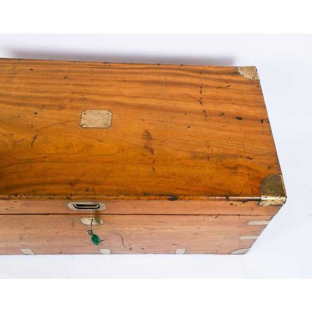 Antique Military Campaign Camphorwood Trunk Coffer, 1840s For Sale - Image 6 of 15