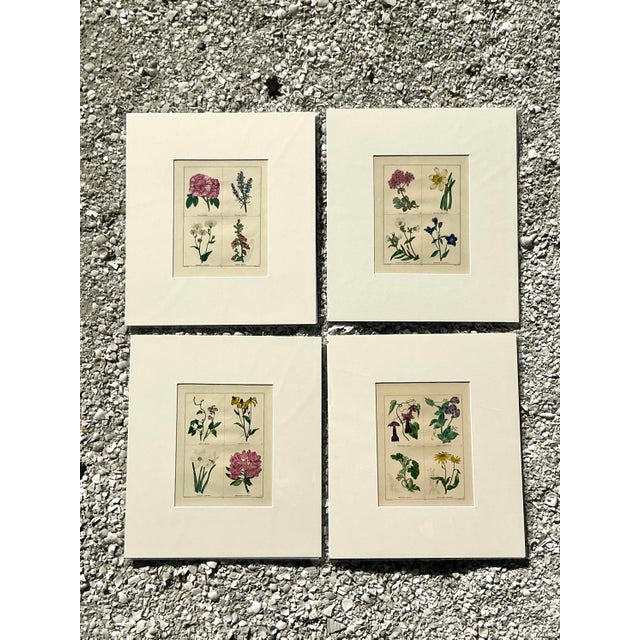 Late 20th Century Vintage Regency Original Botanical Prints - Set of Four For Sale - Image 5 of 12