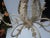 French Country 1980’s Scrolling Iron Chandelier For Sale - Image 3 of 9