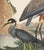 Not Yet Made - Made To Order Vintage 19th Century Bird Print, Great Heron and Seabirds – 32" X 40" For Sale - Image 5 of 5