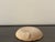 Maritime Wall Plate with Fish Motif by Wilhelm Löber for Rügenkeramik, 1960s For Sale - Image 12 of 18