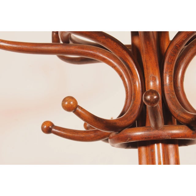 Wood Art Nouveau Parrot Coat Rack For Sale - Image 7 of 9