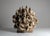 Large Organic Sculpture in Glazed Stoneware with Coral Forms, 2002 For Sale - Image 6 of 16