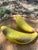 From the early 20th century, and before, the imagery of the humble banana has always captured our interest and attention....