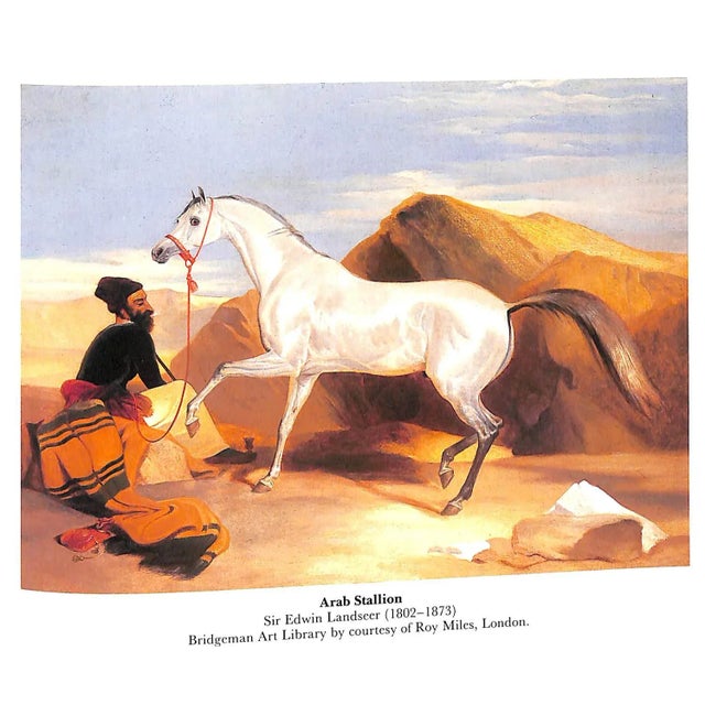 White "Horses in Art: Address Book" 1987 For Sale - Image 8 of 11