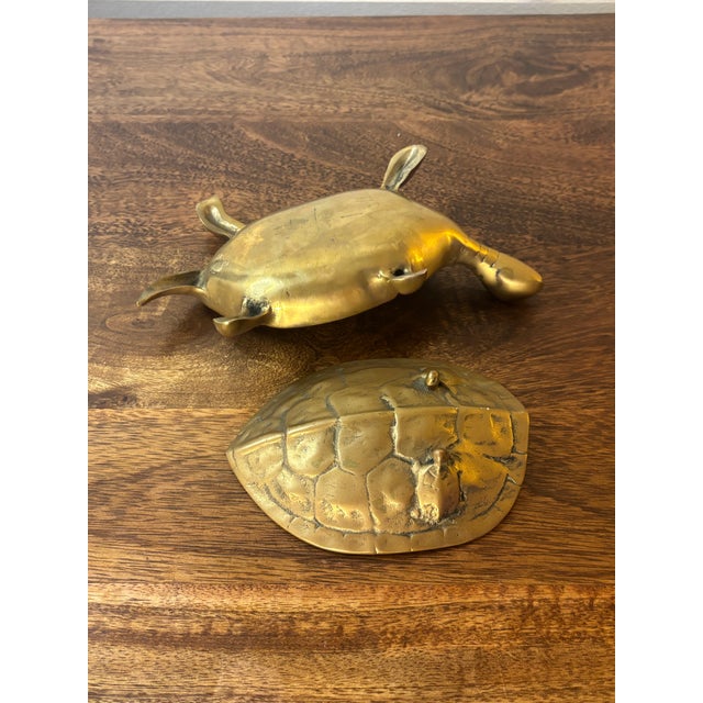 1960s Vintage Brass Turtle Trinket Dish With Lift-Top Shell For Sale - Image 5 of 7