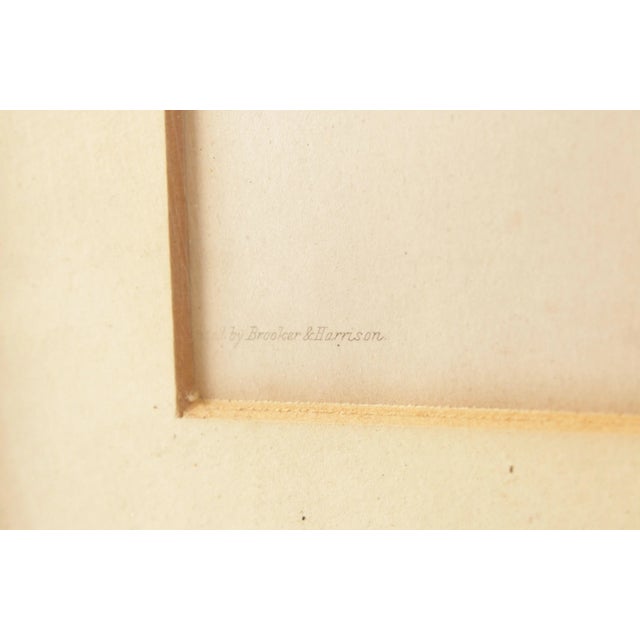 Sculpture Materials 19th C. American Engraving, 'Cupid and Psyche' For Sale - Image 7 of 12