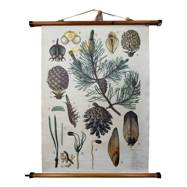 Antique Linen School Map and Models, 1890s, Set of 3 For Sale