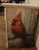 Decoupage Cardinal Nightstand/End Table For Sale In Orlando - Image 6 of 7