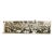 Panoramic Photograph Daughters of the American Revolution 60th Continental Congress New York Lunch Mayflower Hotel Washington DC 1951 For Sale