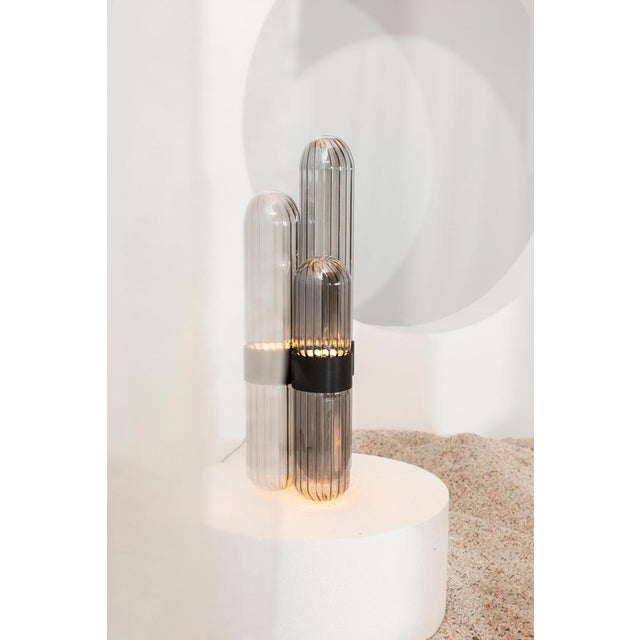 Cactus Big Floor Lamp Transparent by Pulpo For Sale - Image 16 of 18