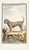 1758 Buffon Dog Engraving "Chien Courant Métis" (Mixed Breed Hound Dog) For Sale