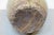 19th Century Stoneware Jar For Sale In New York - Image 6 of 8