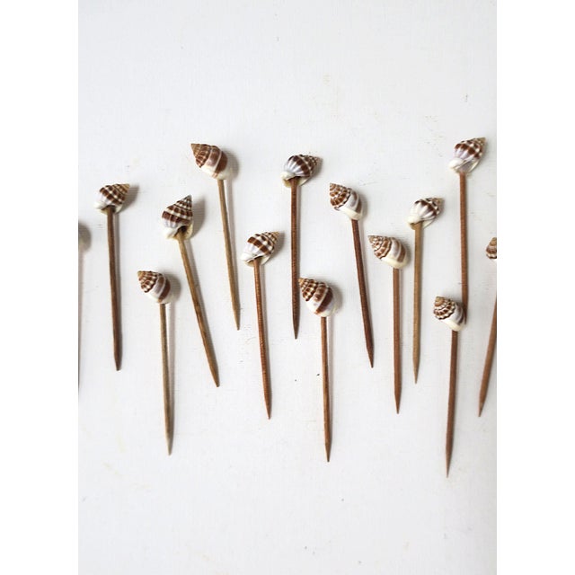 Late 20th Century Seashell Appetizer Picks, Set of 23 For Sale - Image 5 of 9