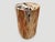 Wood Andrianna Shamaris High Quality Petrified Wood Side Table For Sale - Image 7 of 18