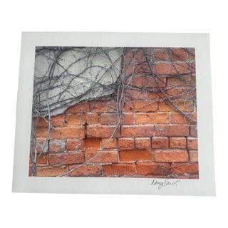 “Urban Tangle: Vines on Brick” Original Giclee Print by Nancy Smith For Sale
