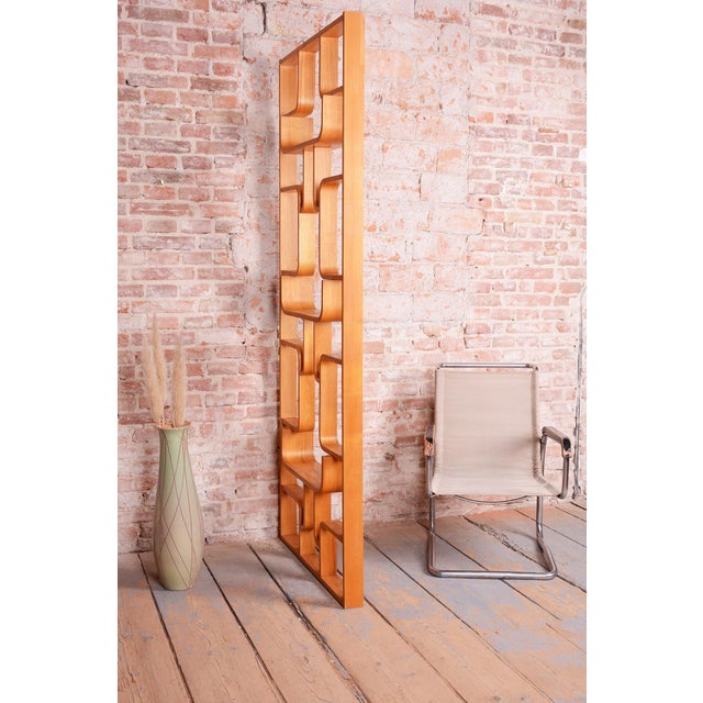 Mid-Century Room Divider by L. Volak for Drevopodnik Holesov, Czech, 1960s For Sale - Image 11 of 12