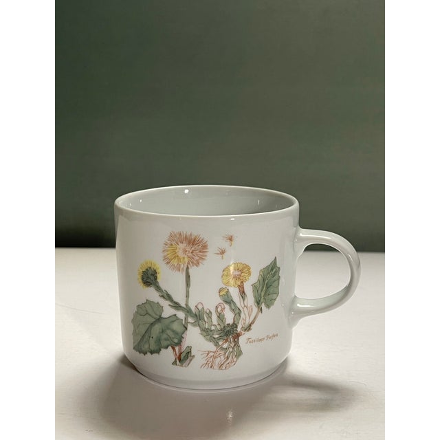Late 20th Century Wildflower Coffee Mugs- Set of 4 For Sale - Image 4 of 9