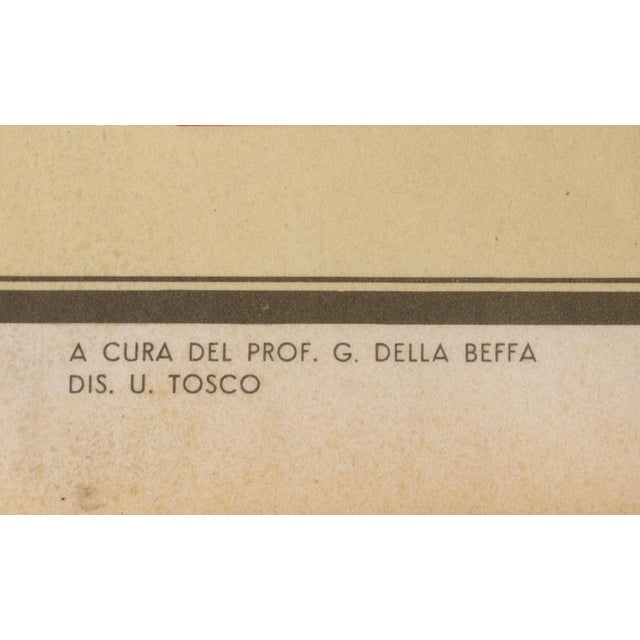 Plastic Educational Poster Depicting Birds from G.B. Paravia Torino, 1959 For Sale - Image 7 of 8