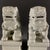 This charming matching pair of Chinese foo dogs (guardian lions) is crafted from porcelain finished in a soft pale celadon...