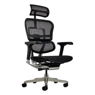 ErgoHuman Gen 2 Multifunction Mesh High-Back Deluxe Office Chair With Headrest For Sale