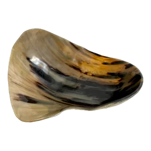 Organic Modern Steer Horn Bowl
