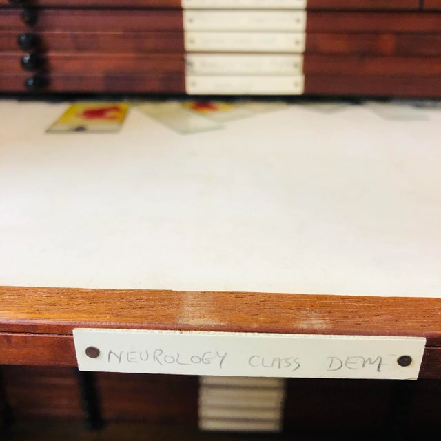 Antique Pine Medical Cabinet in the Style of Joseph Maina Mungai, 1900s For Sale - Image 17 of 18