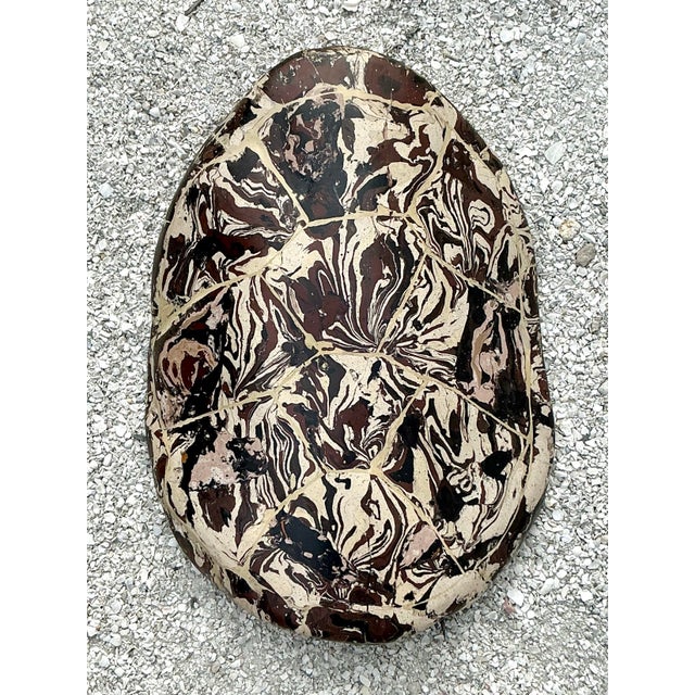 Vintage Boho Artisanal Pigmented Plaster Scagliola Turtle Shell For Sale - Image 12 of 12