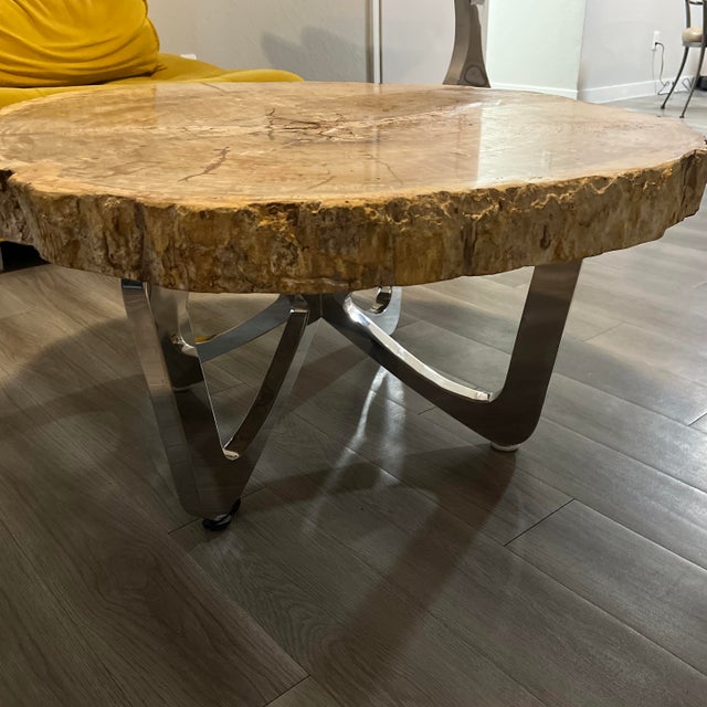 STATEMENT PIECE Beautiful authentic petrified wood coffee table featuring a polished fossil wood slab and contemporary...