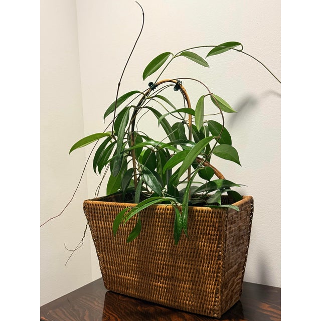 Woven Rattan Magazine Basket For Sale - Image 11 of 11