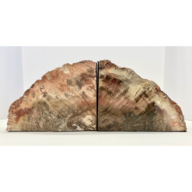 Contemporary Pair of Petrified Wood Bookends – Large Bookmatched Fossil Wood Slabs – Organic Modern / MCM Shelf Decor For Sale - Image 3 of 9