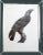 Description De l'Égypte Imperial Eagle Engraving, Savigny, Barraband, Circa 1826 For Sale