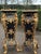 Late 20thC Italian Baroque Black Gold Pedestals – Pair For Sale - Image 14 of 14