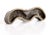 Metal Antique Bronze Mustache Chocolate / Candy Mold For Sale - Image 7 of 7